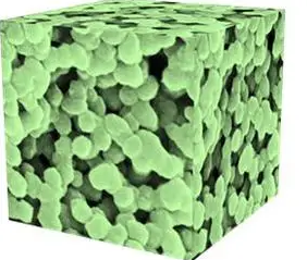 川大团队研发3D打印软骨组织新技术，为软骨修复与重建提供新方法