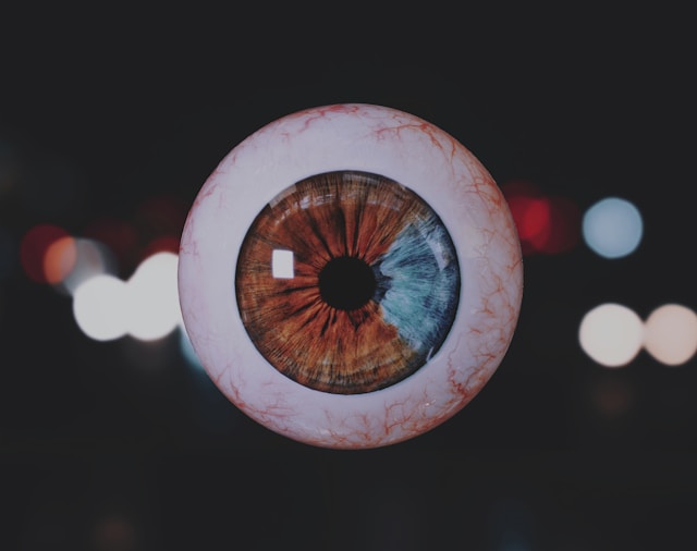 Switzerland begins latest research on 3D printed human corneas