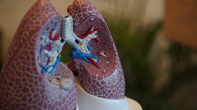 Duke University launches $3.2 million effort to 3D print a living lung
