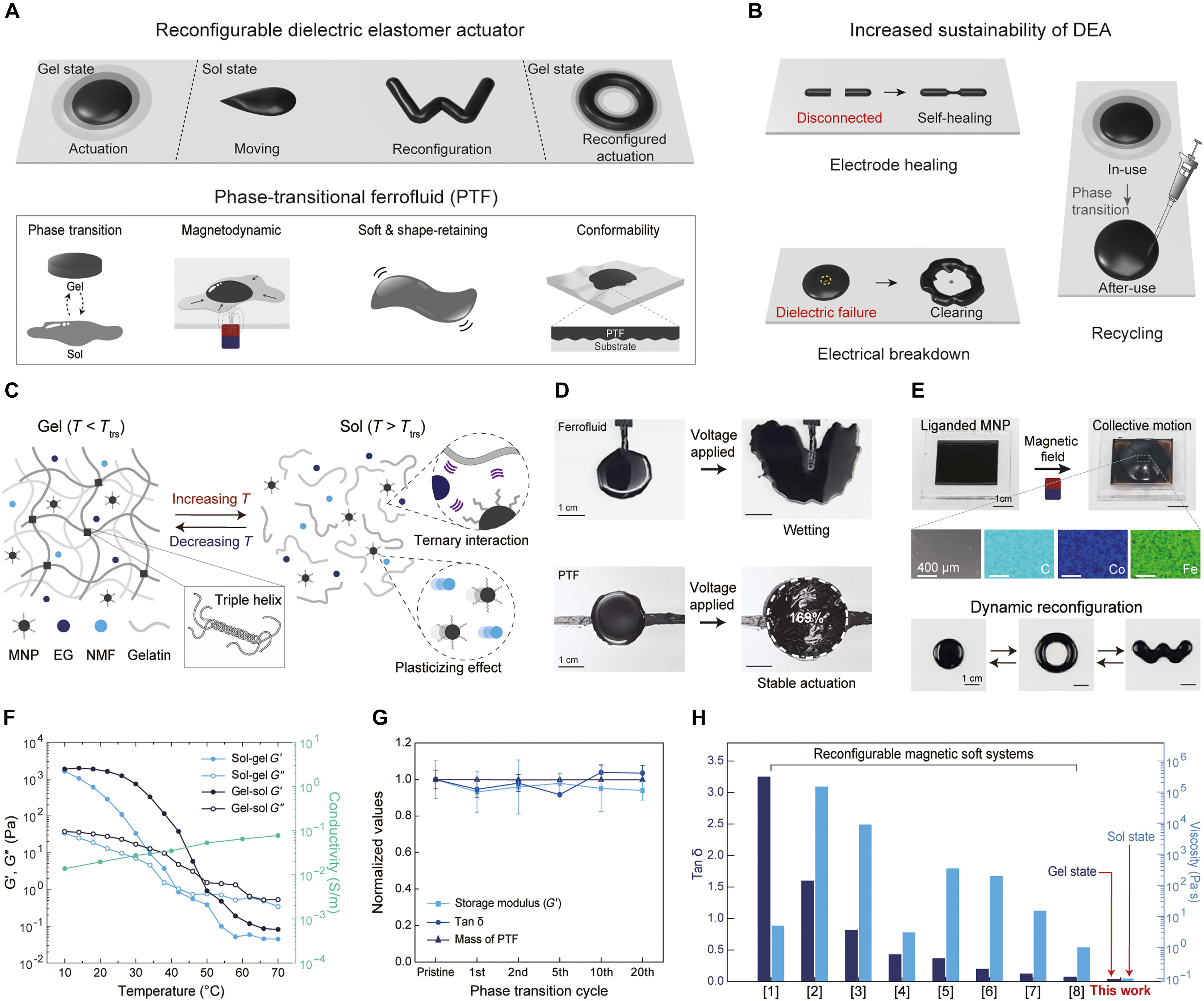 首尔国立大学研发新型人造肌肉：受损后可自我修复，形状可重塑，恢复率达91%