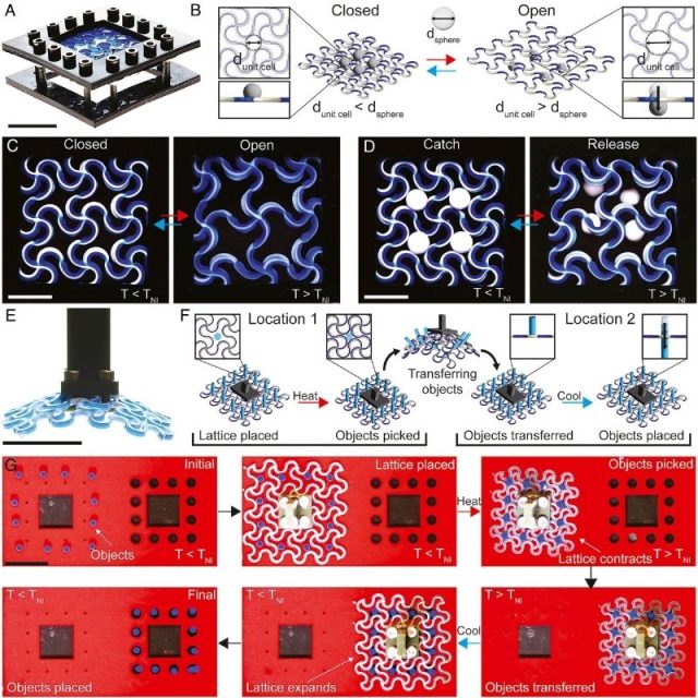 Harvard researchers print artificial muscle-like filaments that bend and twist on demand