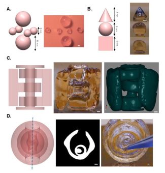 Nottingham and Berkeley researchers curb overcuring defects in volumetric 3D printing